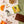 Galaxie, the dark chocolate orange pistachio bar