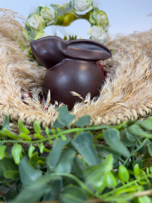 Lapin de Pâques Végéta'Ly