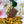 Collection dégustation
